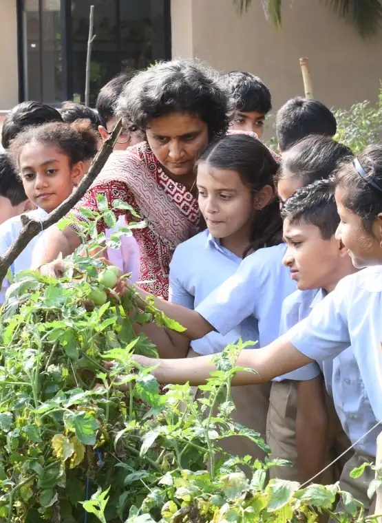 Nalanda school students observing plants